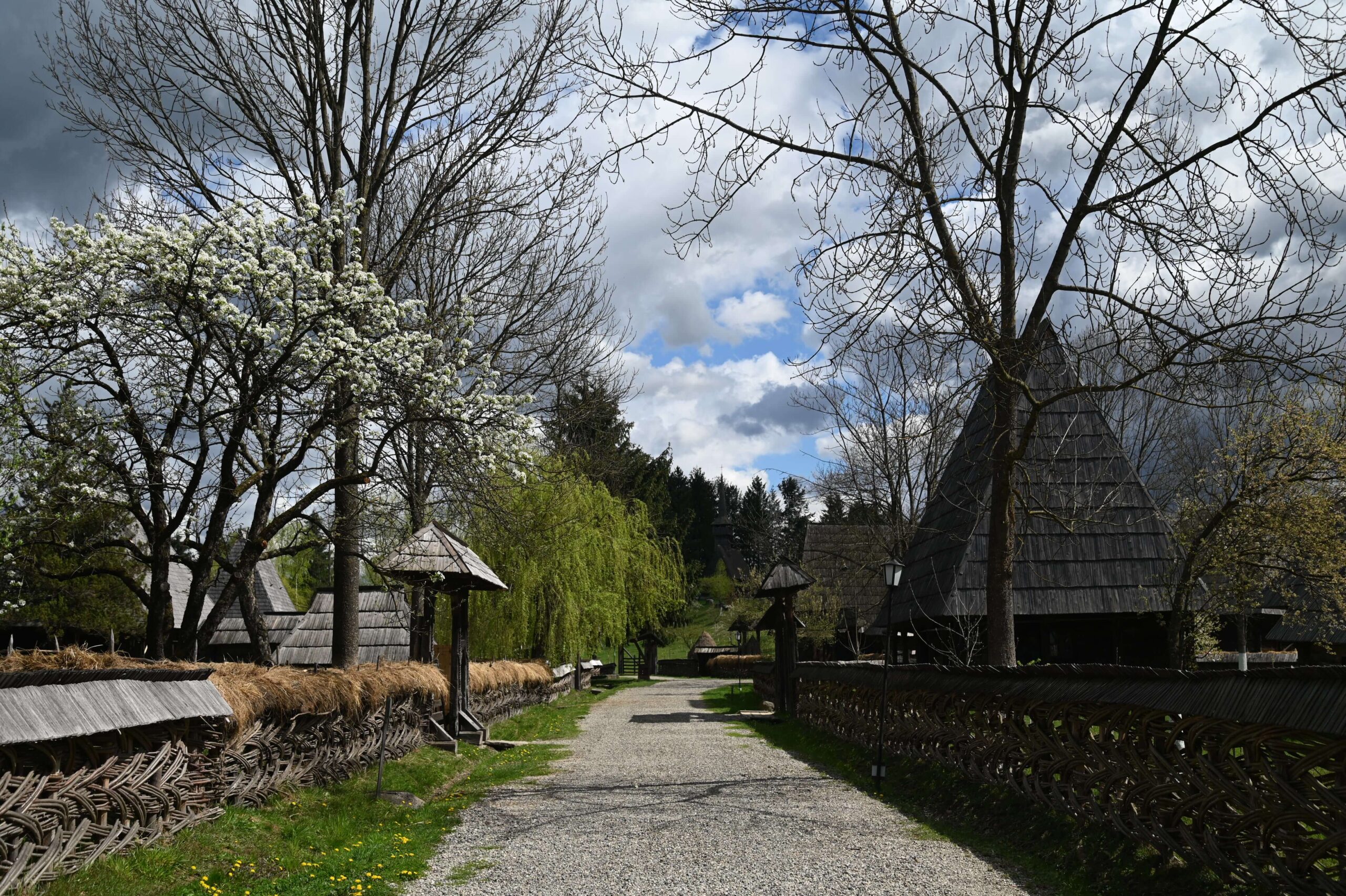 Muzeul satului (6)