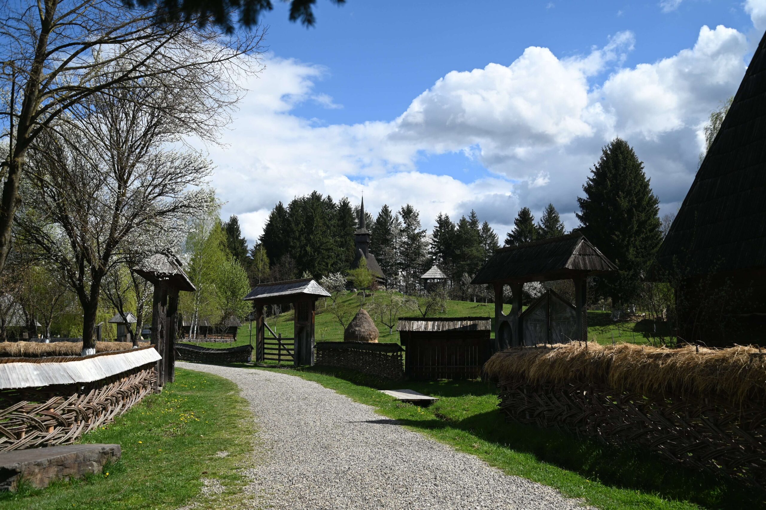 Muzeul satului (8)