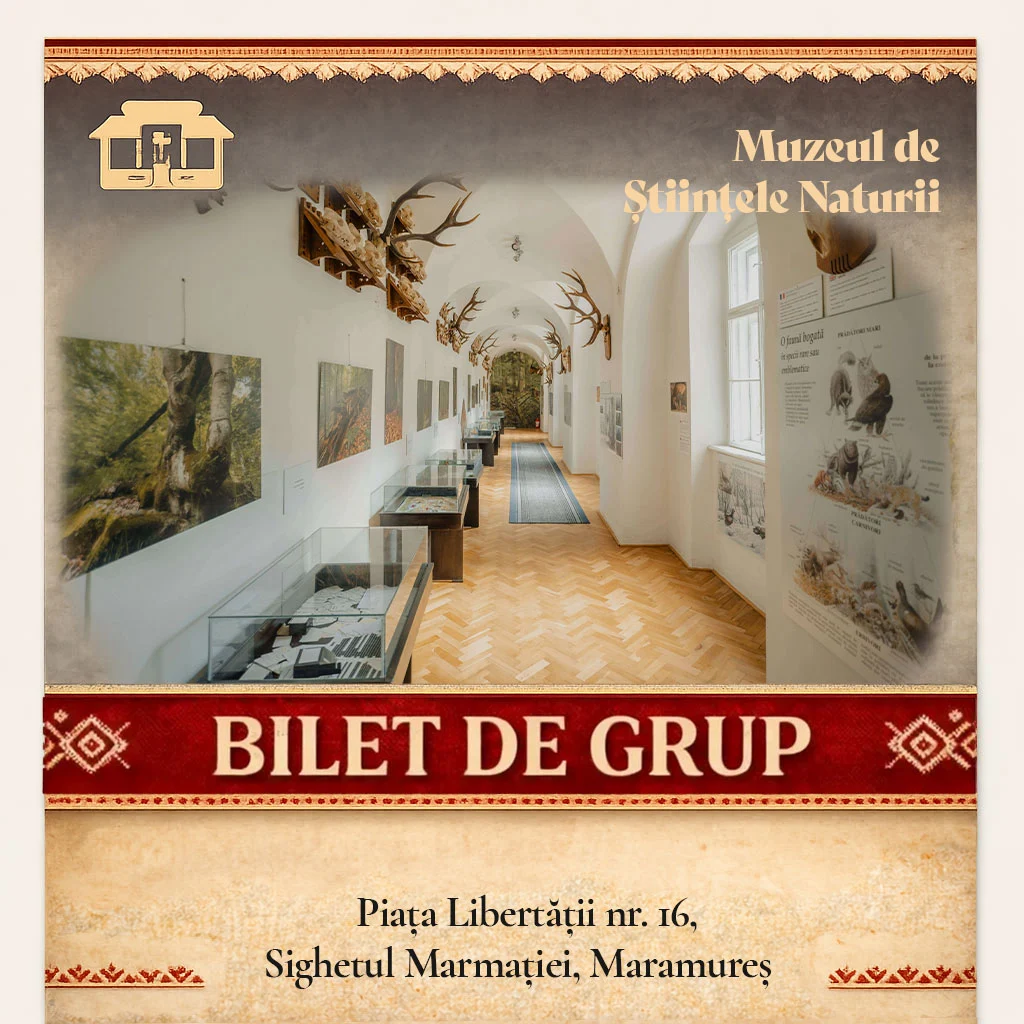Bilet Grup Muzeul de Științele Naturii